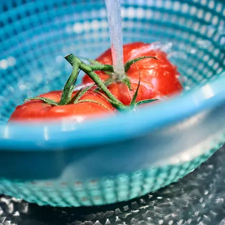 Seemuschel - 3 Apartmán *